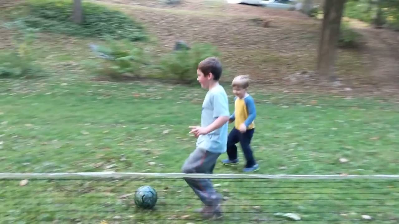 The field in the trees: Goals at both ends under the trees, and games with several kids at once.